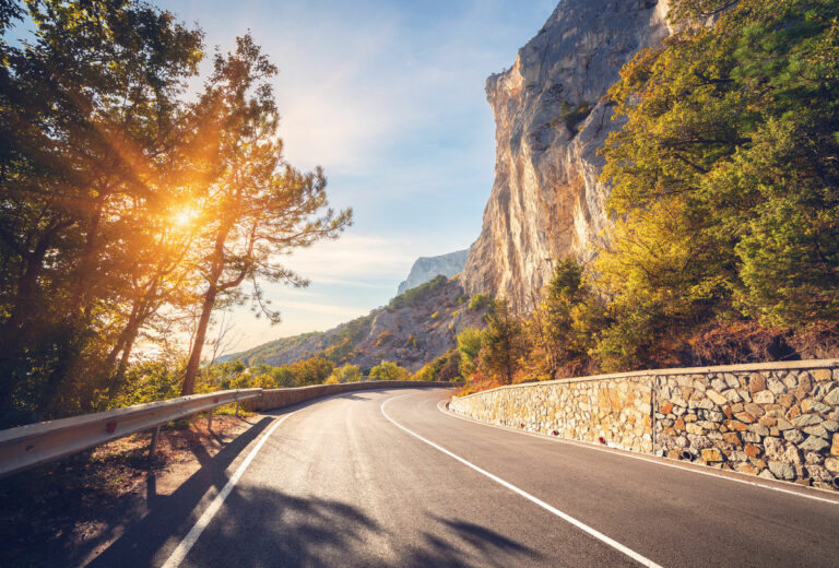 Frontotemporal Dementia Resources - The Road Ahead